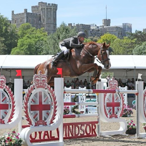 Castiel ‐ home bred, qualified HOYS Foxhunter , jumped Area Trials , 2 fence challenge up to 1.95m & still with us in semi‐retirement.